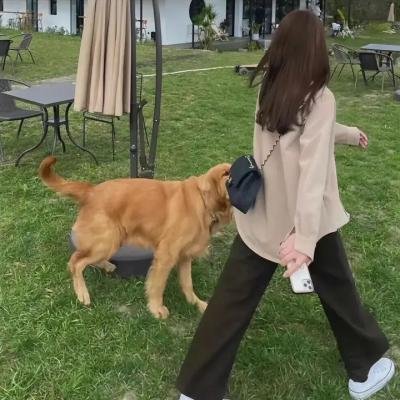 伦敦往事